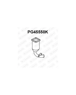 Catalyseur VENEPORTE Ref : PG45550K