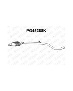 Catalyseur VENEPORTE Ref : PG45388K