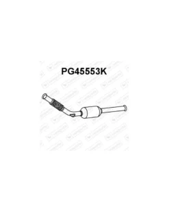 Catalyseur VENEPORTE Ref : PG45553K