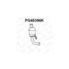 Catalyseur VENEPORTE Ref : PG45386K