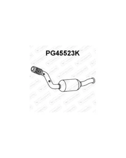 Catalyseur VENEPORTE Ref : PG45523K