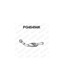 Catalyseur VENEPORTE Ref : PG45494K