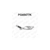 Catalyseur VENEPORTE Ref : PG45477K