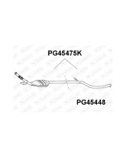 Catalyseur VENEPORTE Ref : PG45475K