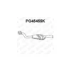 Catalyseur VENEPORTE Ref : PG45455K