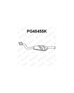Catalyseur VENEPORTE Ref : PG45455K