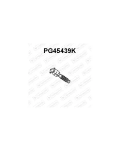 Catalyseur VENEPORTE Ref : PG45439K