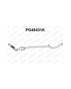 Catalyseur VENEPORTE Ref : PG45431K