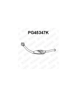 Catalyseur VENEPORTE Ref : PG45347K