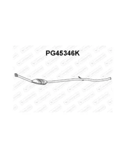 Catalyseur VENEPORTE Ref : PG45346K