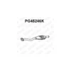 Catalyseur VENEPORTE Ref : PG45246K