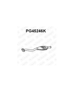 Catalyseur VENEPORTE Ref : PG45246K