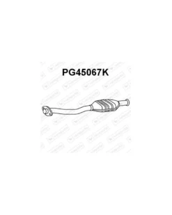 Catalyseur VENEPORTE Ref : PG45067K