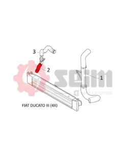 Gaine de suralimentation SEIM Ref : 981161
