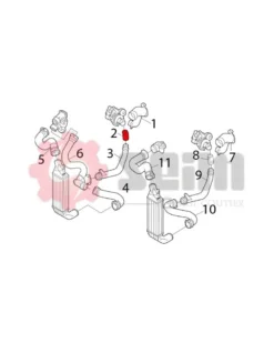 Gaine de suralimentation SEIM Ref : 981143