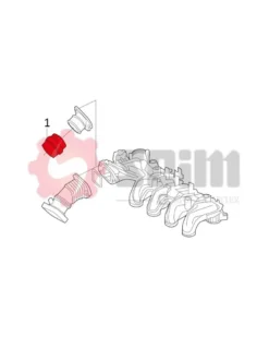 Gaine de suralimentation SEIM Ref : 981136