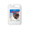 Nettoyant moteur, voiture, Engine Clean, 5L - 3RG