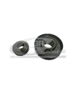 Pignon boite de vitesse, manuelle (OE : 1608841780) - 3RG