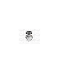 Pompe à eau, refroidissement du moteur MGA Ref : PA398