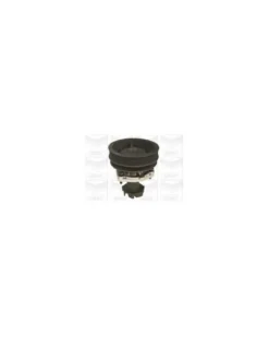 Pompe à eau, refroidissement du moteur MGA Ref : PA599
