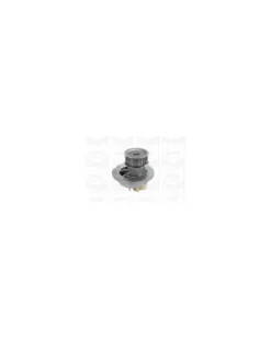 Pompe à eau, refroidissement du moteur MGA Ref : PA1061