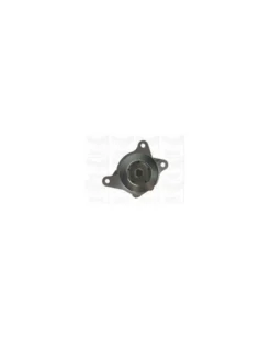 Pompe à eau, refroidissement du moteur MGA Ref : PA1185