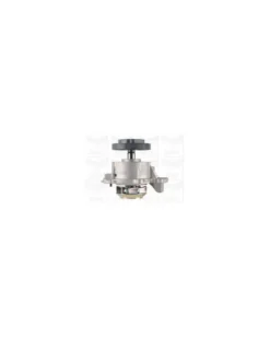 Pompe à eau, refroidissement du moteur MGA Ref : PA1252