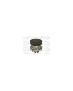 Pompe à eau, refroidissement du moteur MGA Ref : PA347