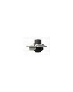 Pompe à eau, refroidissement du moteur MGA Ref : PA1076