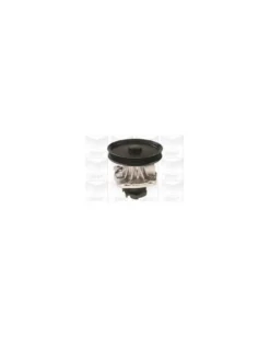Pompe à eau, refroidissement du moteur MGA Ref : PA598