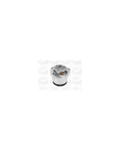 Pompe à eau, refroidissement du moteur MGA Ref : PA730