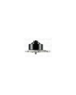 Pompe à eau, refroidissement du moteur MGA Ref : PA1278