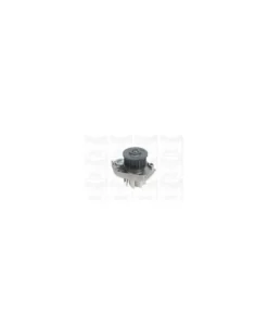 Pompe à eau, refroidissement du moteur MGA Ref : PA1030