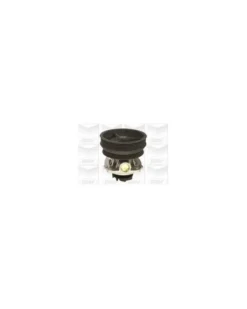 Pompe à eau, refroidissement du moteur MGA Ref : PA620