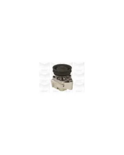 Pompe à eau, refroidissement du moteur MGA Ref : PA601