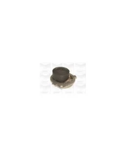 Pompe à eau, refroidissement du moteur MGA Ref : PA614