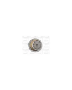 Pompe à eau, refroidissement du moteur MGA Ref : PA325