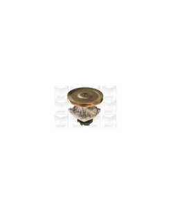 Pompe à eau, refroidissement du moteur MGA Ref : PA566