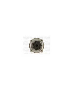Pompe à eau, refroidissement du moteur MGA Ref : PA566