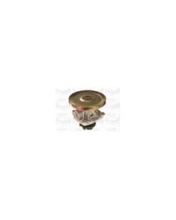 Pompe à eau, refroidissement du moteur MGA Ref : PA566