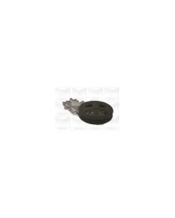 Pompe à eau, refroidissement du moteur MGA Ref : PA530