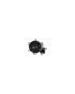 Pompe à eau, refroidissement du moteur MGA Ref : PA1261