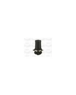 Pompe à eau, refroidissement du moteur MGA Ref : PA105