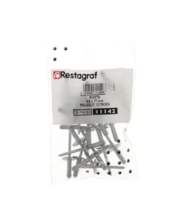 Rivet tete large, haut-parleur, ø4,8 x 17 mm, 20pcs - Restagraf
