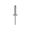 Rivet, tête large, aluminium 4,8 x 21 mm, 41 pcs - Restagraf