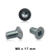 RKG - Vis de disque de frein Classe 4.8 - 08x17 mm