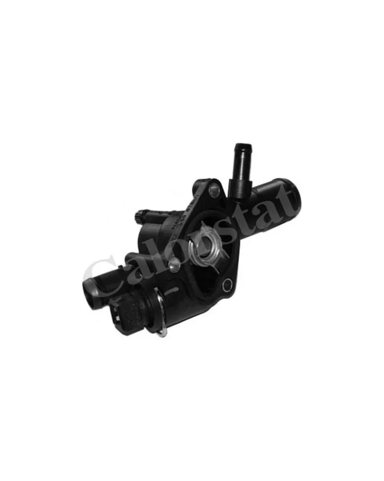 Thermostat, liqiuide de refroidissement CALORSTAT by Vernet Ref : TH6666.89J