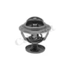 Thermostat, liqiuide de refroidissement CALORSTAT by Vernet Ref : TH6838.82J