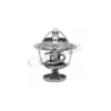 Thermostat, liqiuide de refroidissement CALORSTAT by Vernet Ref : TH6702.82J