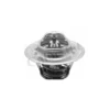Thermostat, liqiuide de refroidissement CALORSTAT by Vernet Ref : TH5962.88J